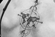 Réalisation tatoueur CIDTATTOOART STUDIO54 ANGERS - Studio 54